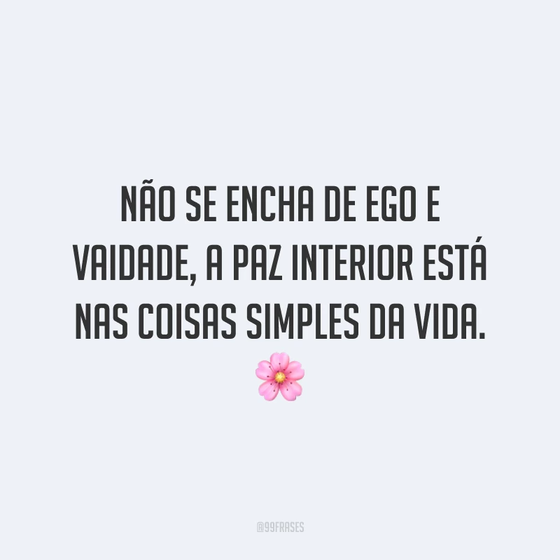 Não se encha de ego e vaidade, a paz interior está nas coisas simples da vida.