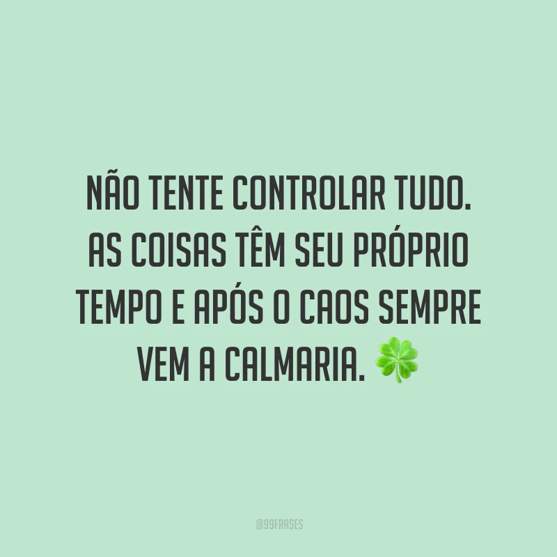 Não tente controlar tudo. As coisas têm seu próprio tempo e após o caos sempre vem a calmaria.