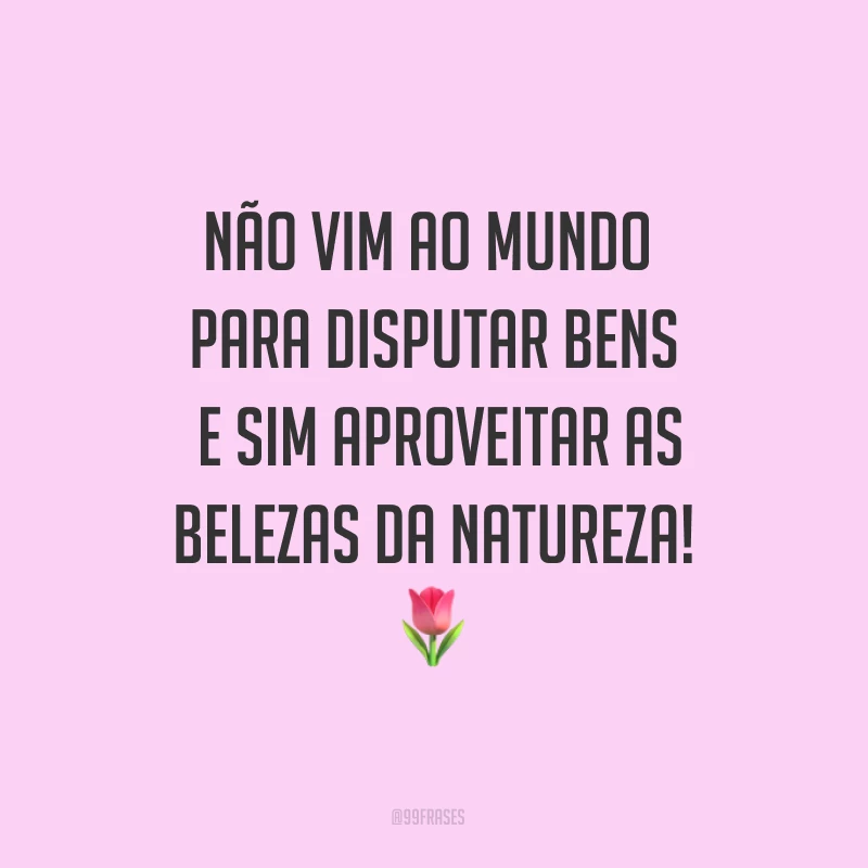 Não vim ao mundo para disputar bens e sim aproveitar as belezas da natureza! ?