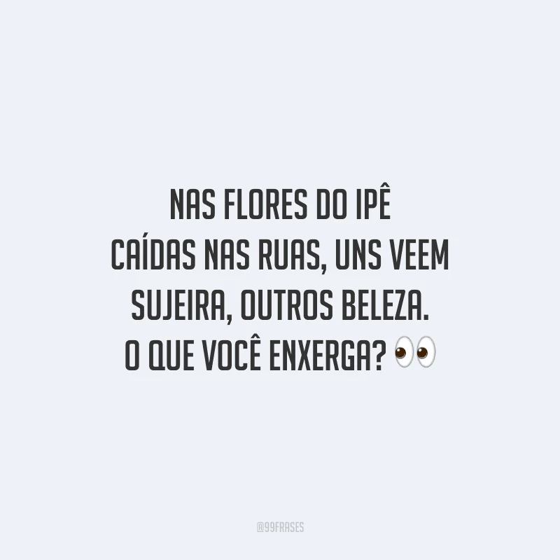 Nas flores do Ipê caídas nas ruas, uns veem sujeira, outros beleza. O que você enxerga?