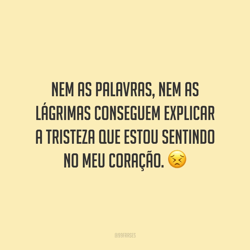 Nem as palavras, nem as lágrimas conseguem explicar a tristeza que estou sentindo no meu coração.