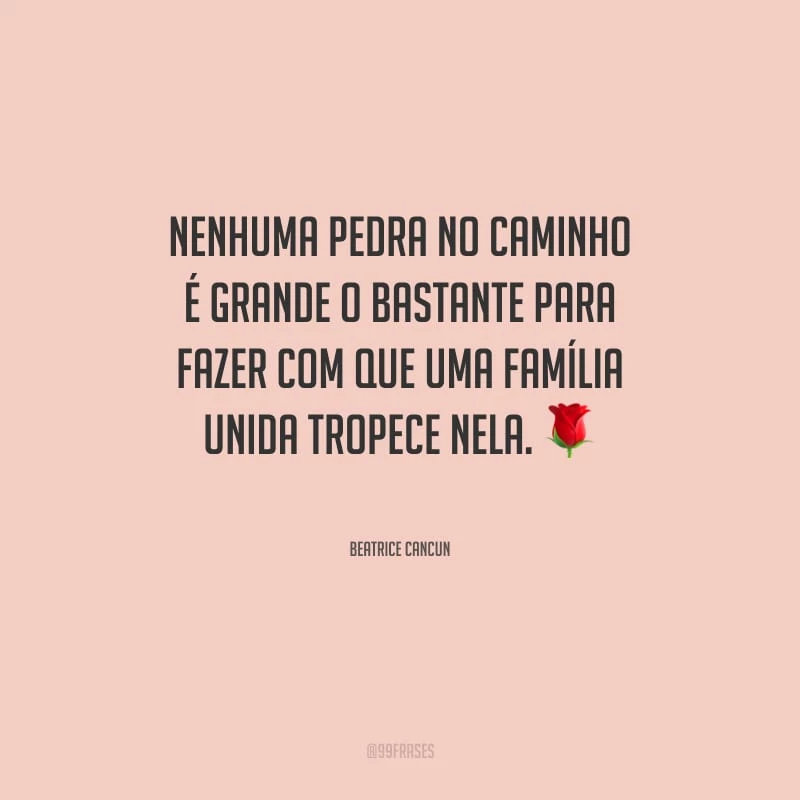 Nenhuma pedra no caminho é grande o bastante para fazer com que uma família unida tropece nela.