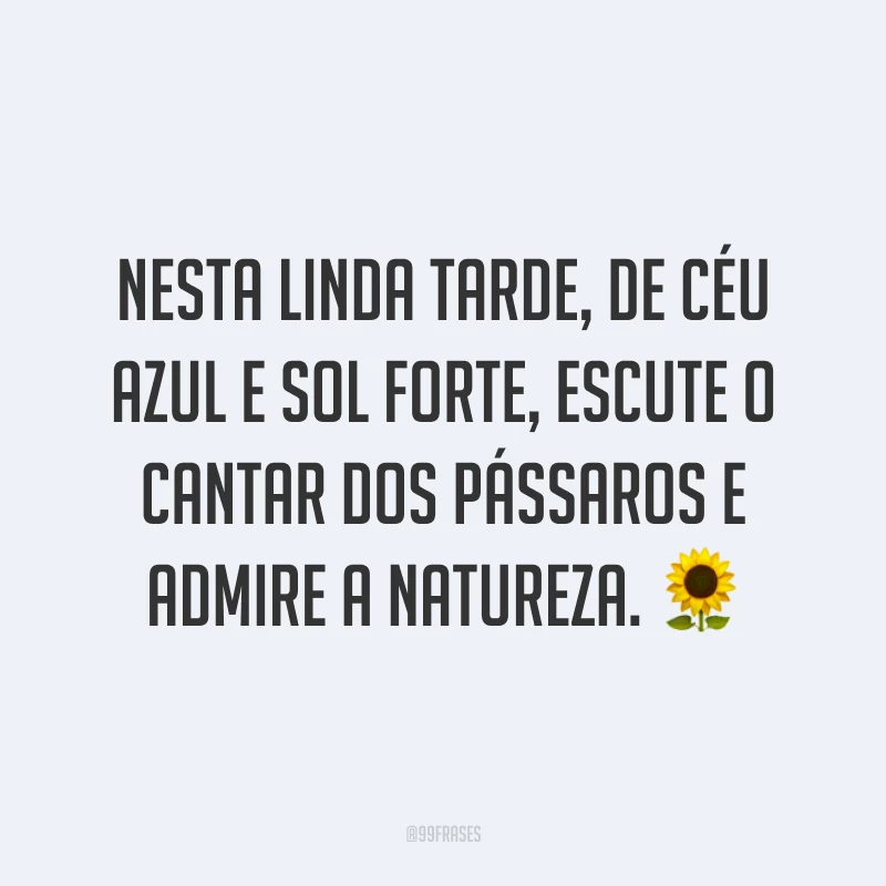 Nesta linda tarde, de céu azul e sol forte, escute o cantar dos pássaros e admire a natureza. 🌻