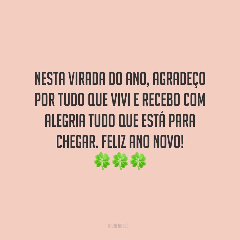 Nesta virada do ano, agradeço por tudo que vivi e recebo com alegria tudo que está para chegar. Feliz Ano Novo!