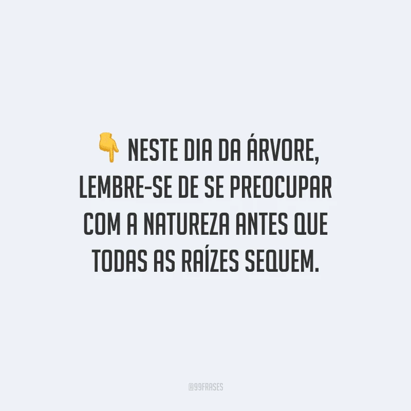 Neste dia da árvore, lembre-se de se preocupar com a natureza antes que todas as raízes sequem.