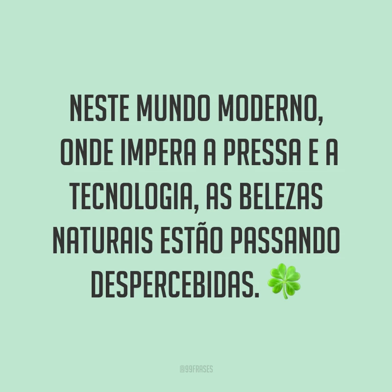 Neste mundo moderno, onde impera a pressa e a tecnologia, as belezas naturais estão passando despercebidas. ? 