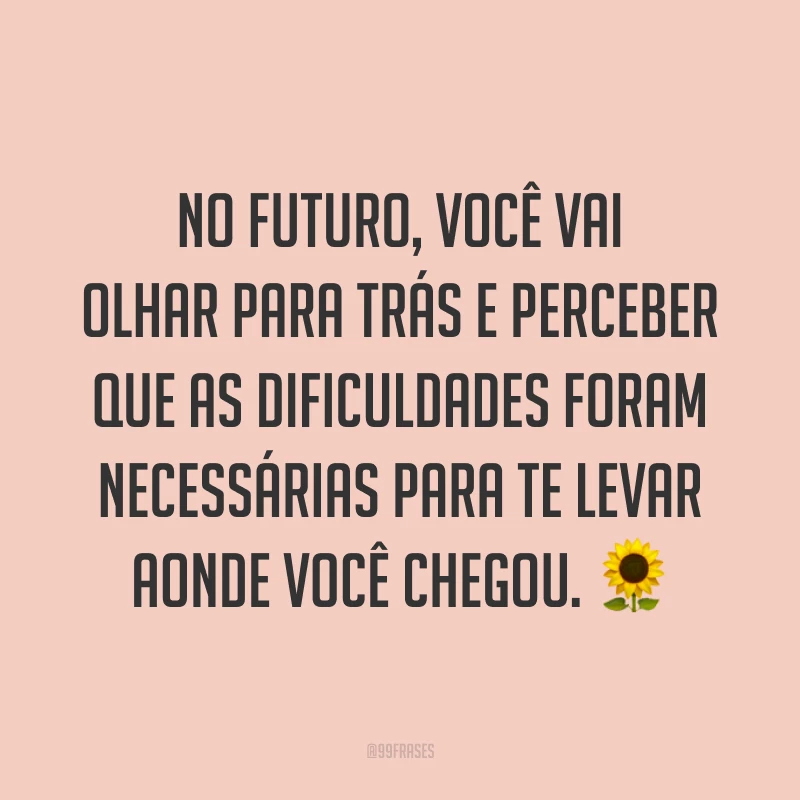 No futuro, você vai olhar para trás e perceber que as dificuldades foram necessárias para te levar aonde você chegou. 🌻