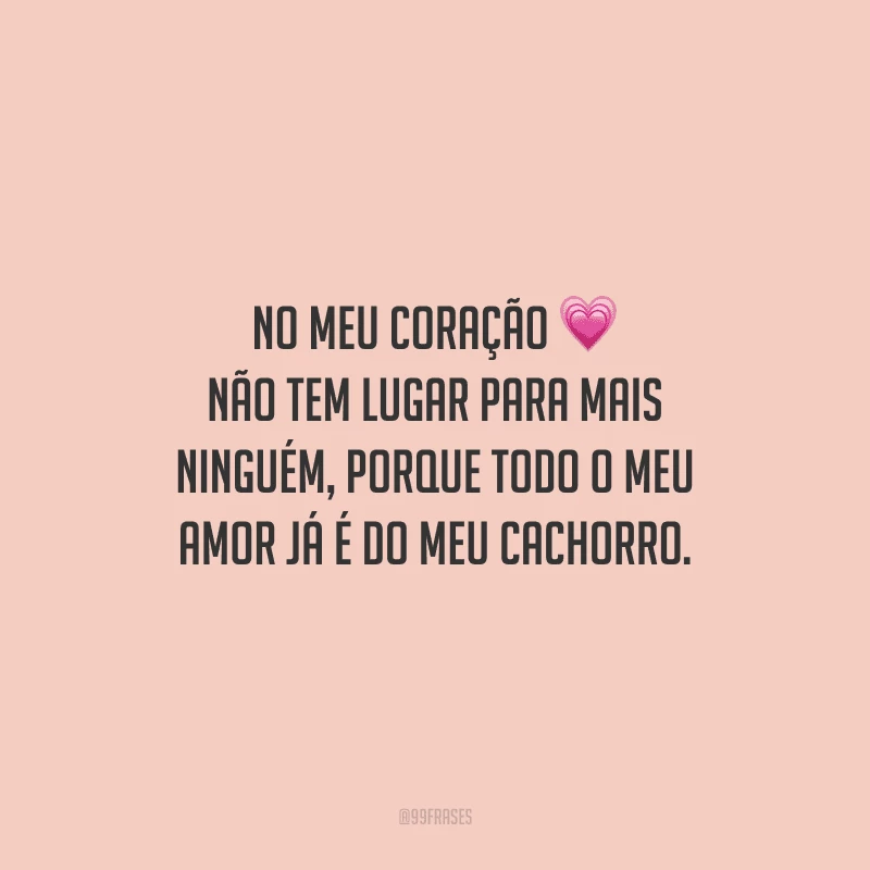 No meu coração não tem lugar para mais ninguém, porque todo o meu amor já é do meu cachorro.