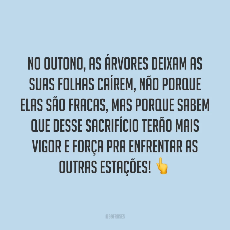 No outono, as árvores deixam as suas folhas caírem, não porque elas são fracas, mas porque sabem que desse sacrifício terão mais vigor e força pra enfrentar as outras estações! ?