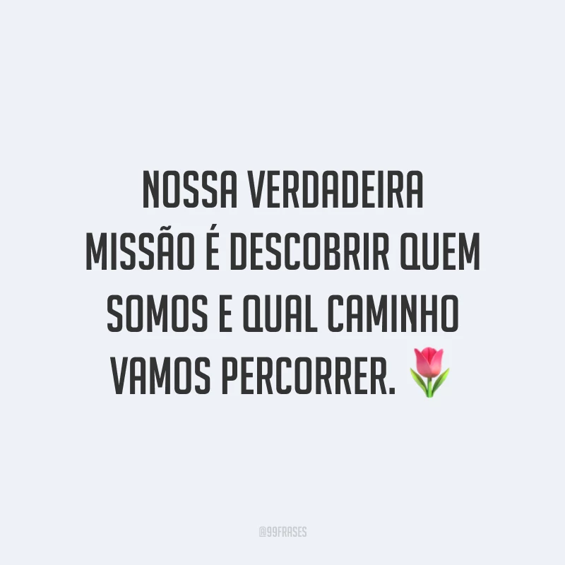 Nossa verdadeira missão é descobrir quem somos e qual caminho vamos percorrer.