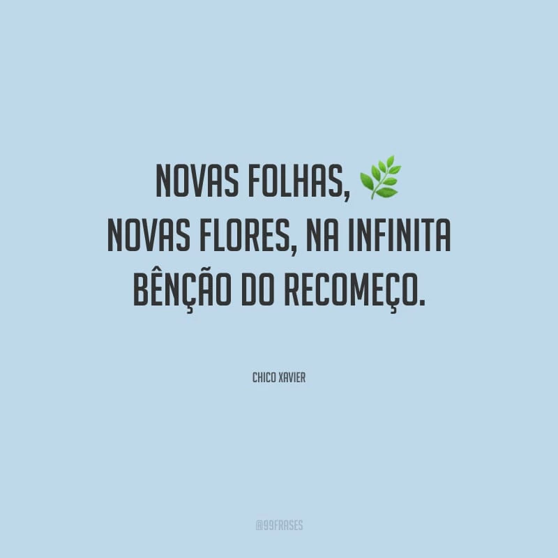 Novas folhas, novas flores, na infinita bênção do recomeço.