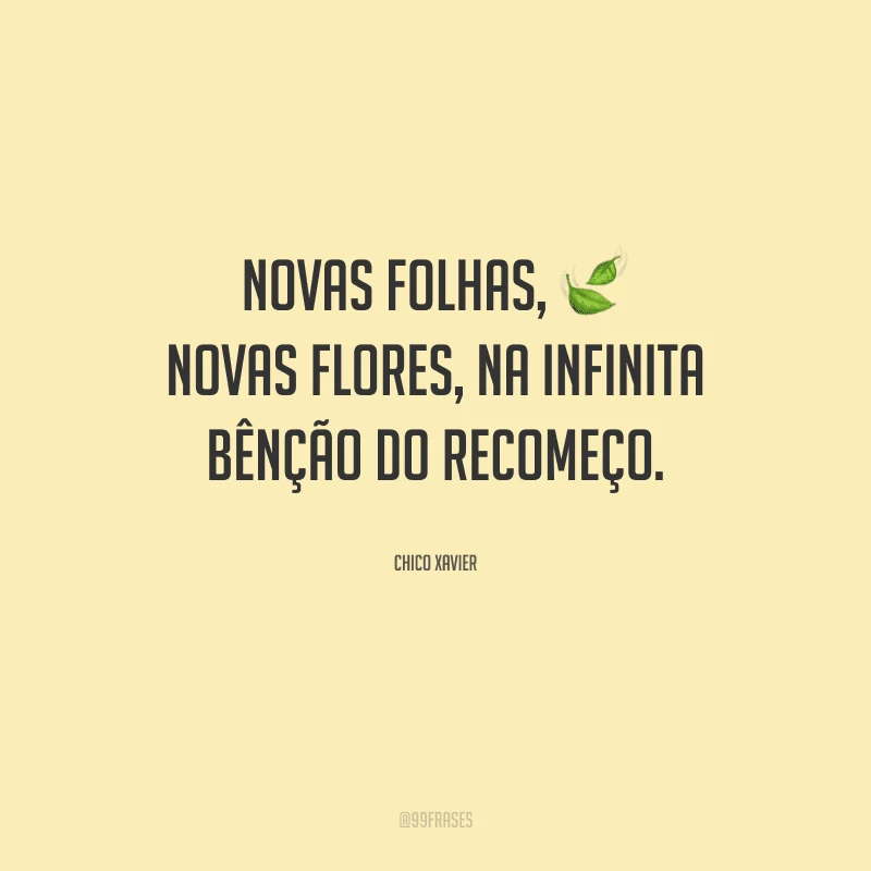 Novas folhas, novas flores, na infinita bênção do recomeço.