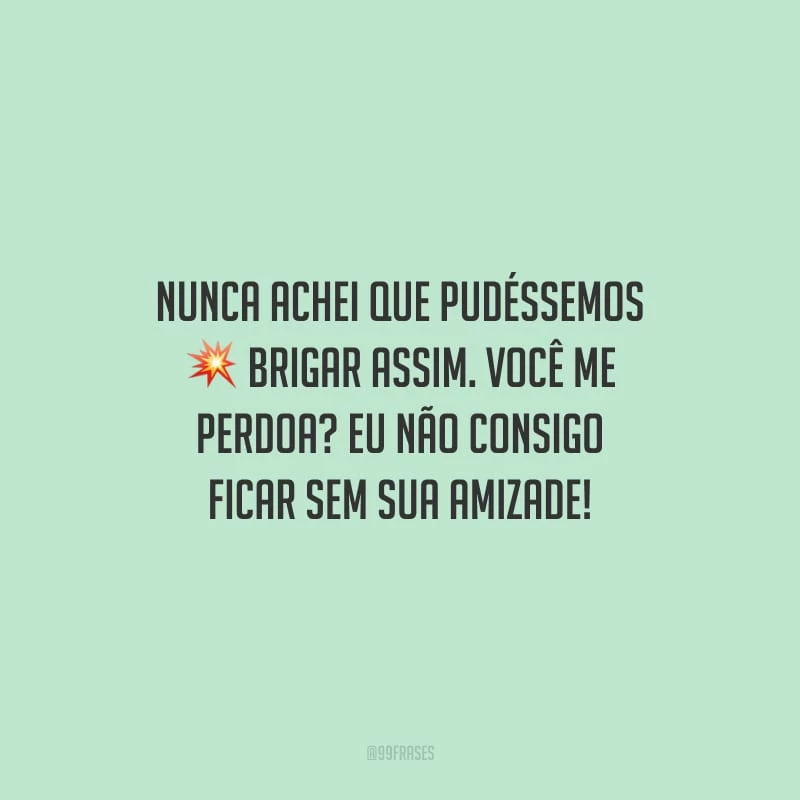 Nunca achei que pudéssemos brigar assim. Você me perdoa? Eu não consigo ficar sem sua amizade!