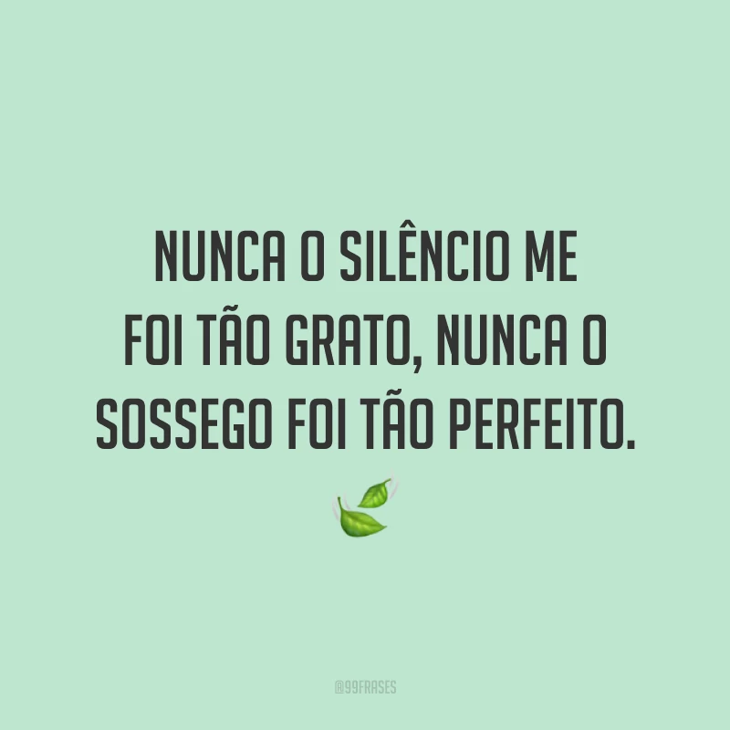 Nunca o silêncio me foi tão grato, nunca o sossego foi tão perfeito. 🍃
