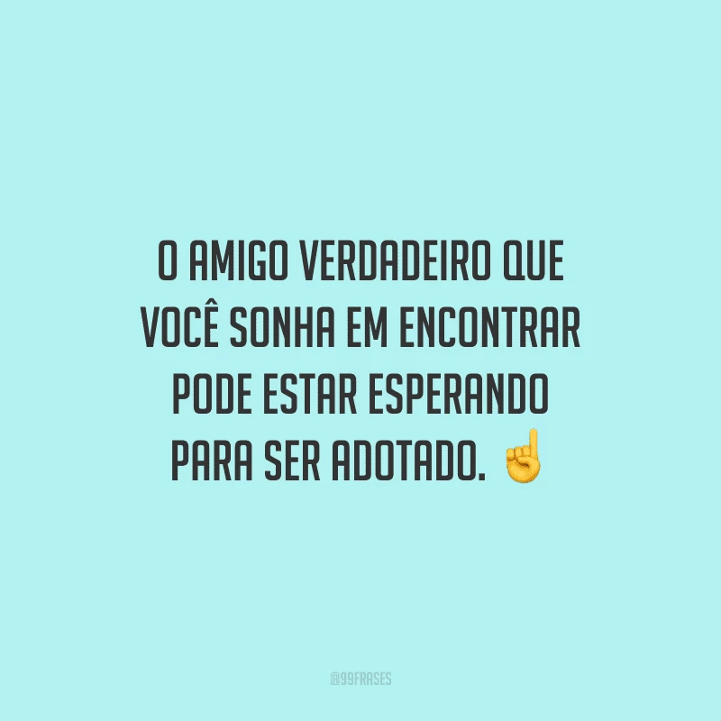O amigo verdadeiro que você sonha em encontrar pode estar esperando para ser adotado.