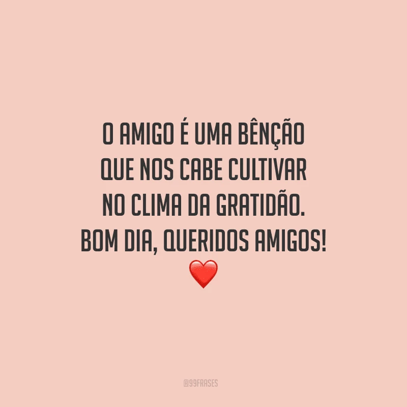 O amigo é uma bênção que nos cabe cultivar no clima da gratidão. Bom dia, queridos amigos!