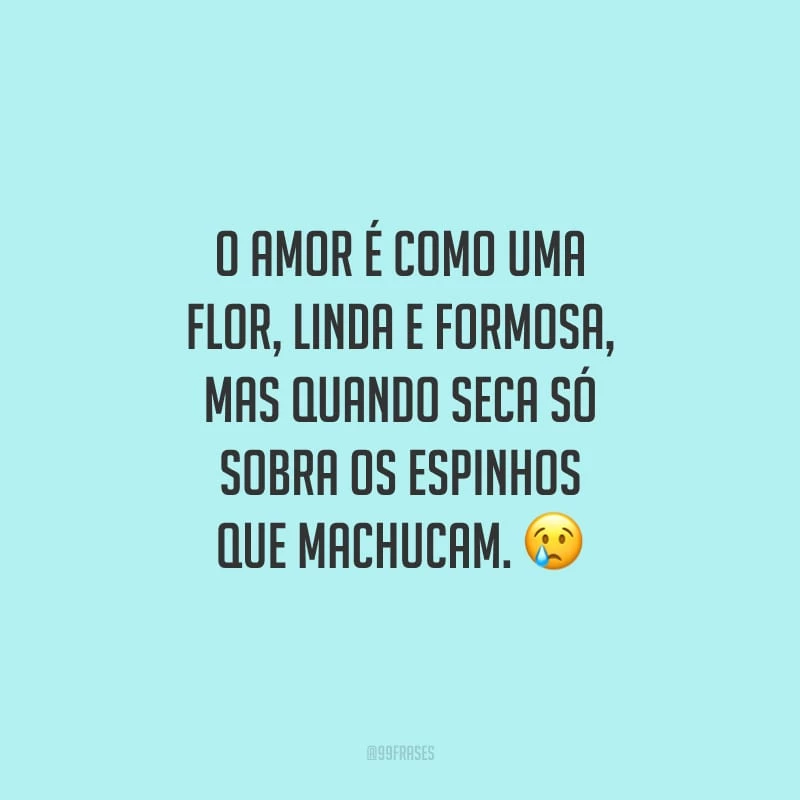 O amor é como uma flor, linda e formosa, mas quando seca só sobra os espinhos que machucam.
