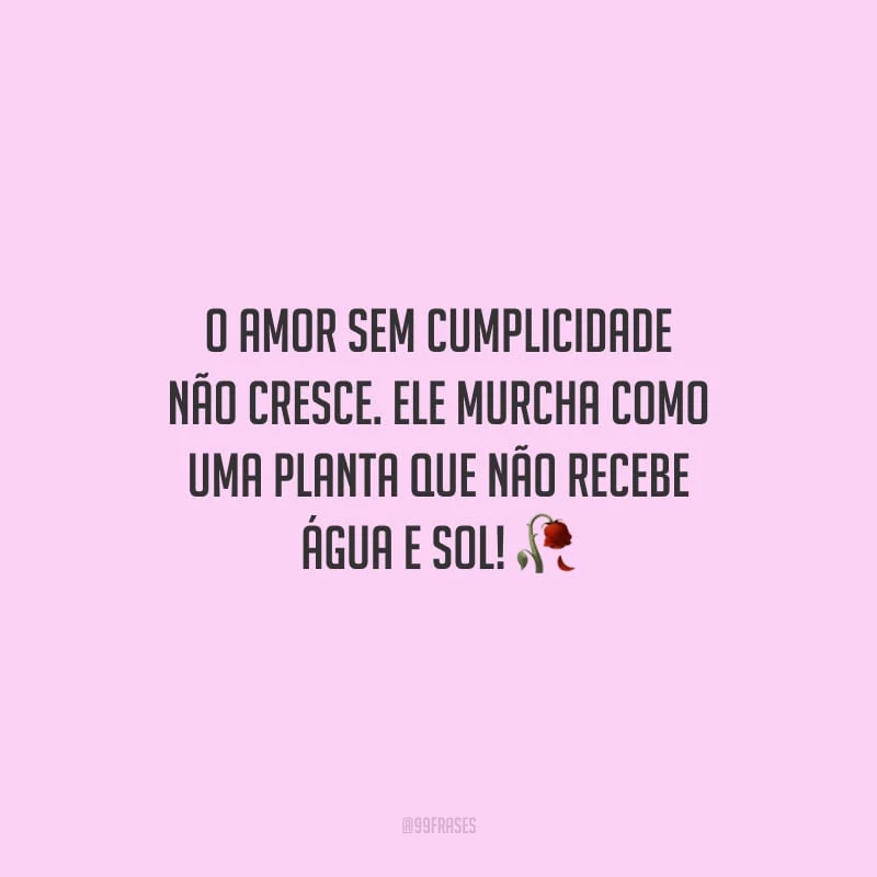 O amor sem cumplicidade não cresce. Ele murcha como uma planta que não recebe água e sol!