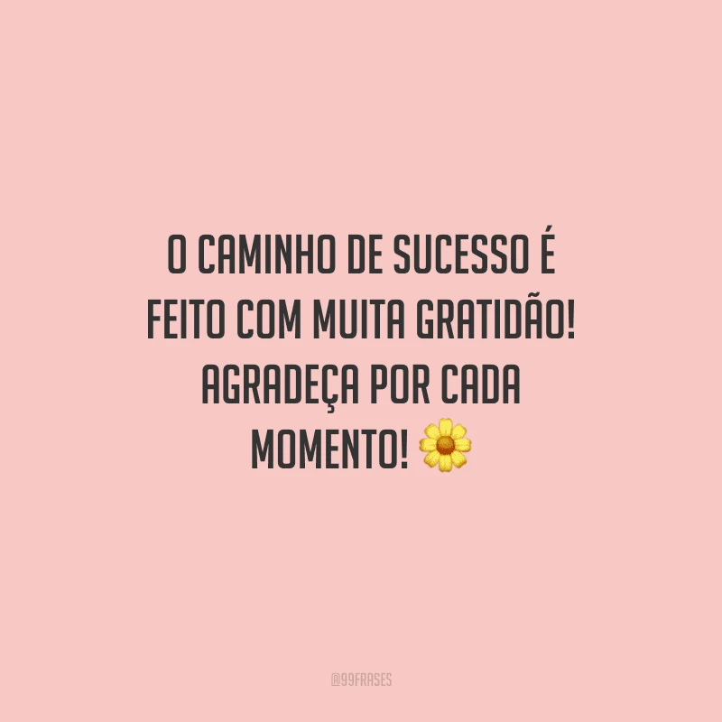 O caminho de sucesso é feito com muita gratidão! Agradeça por cada momento!