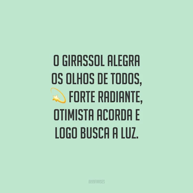 O girassol alegra os olhos de todos, forte radiante, otimista acorda e logo busca a luz.