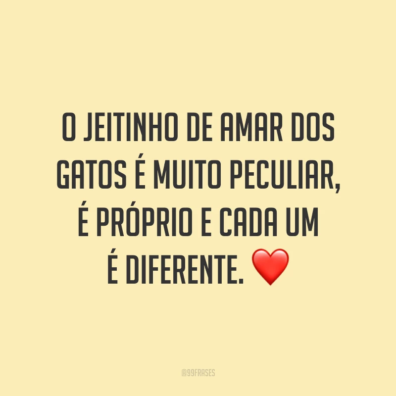 O jeitinho de amar dos gatos é muito peculiar, é próprio e cada um é diferente. ❤️