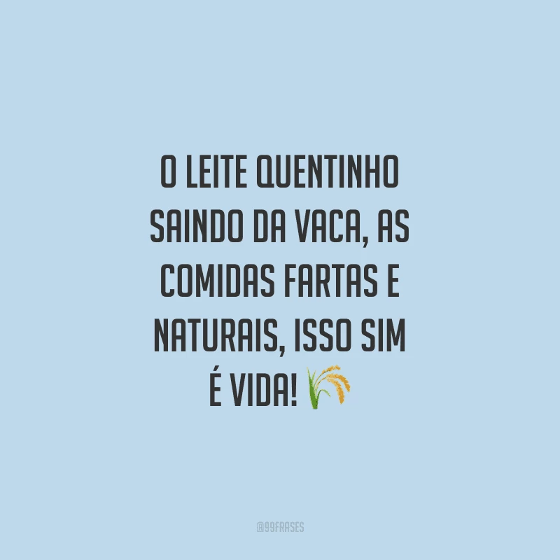 O leite quentinho saindo da vaca, as comidas fartas e naturais, isso sim é vida!