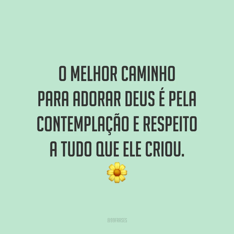 O melhor caminho para adorar Deus é pela contemplação e respeito a tudo que ele criou. 🌼