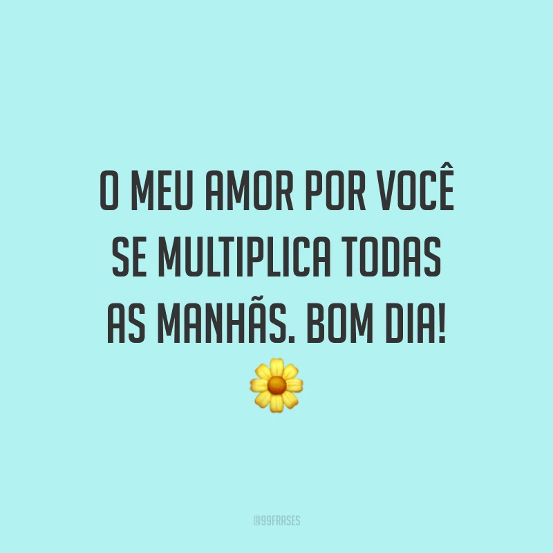 O meu amor por você se multiplica todas as manhãs. Bom dia! ?