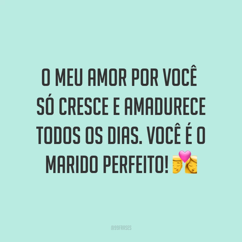 O meu amor por você só cresce e amadurece todos os dias. Você é o marido perfeito! ?