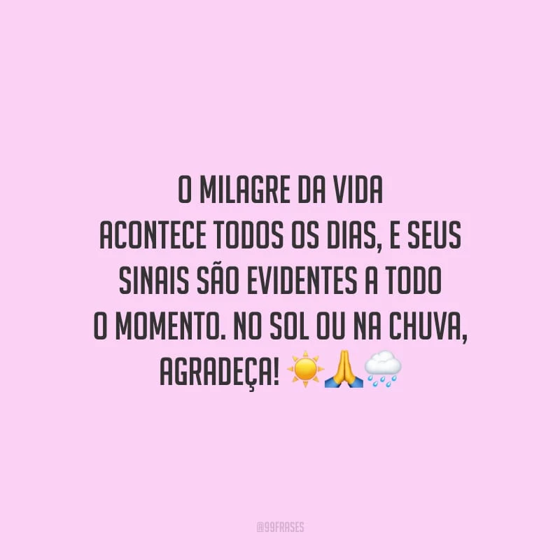 O milagre da vida acontece todos os dias, e seus sinais são evidentes a todo o momento. No sol ou na chuva, agradeça!