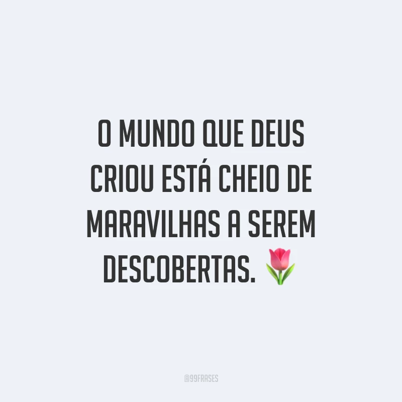 O mundo que Deus criou está cheio de maravilhas a serem descobertas. 🌷