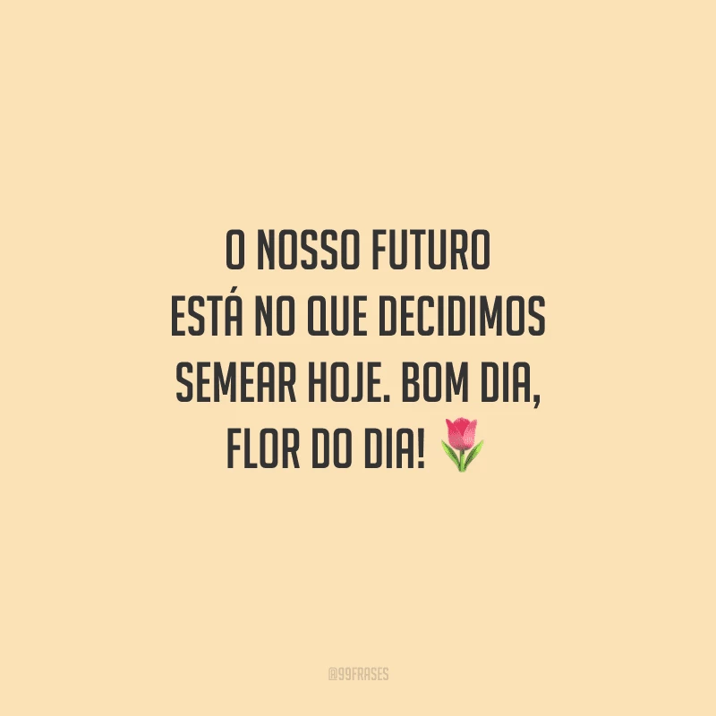 O nosso futuro está no que decidimos semear hoje. Bom dia, flor do dia! 