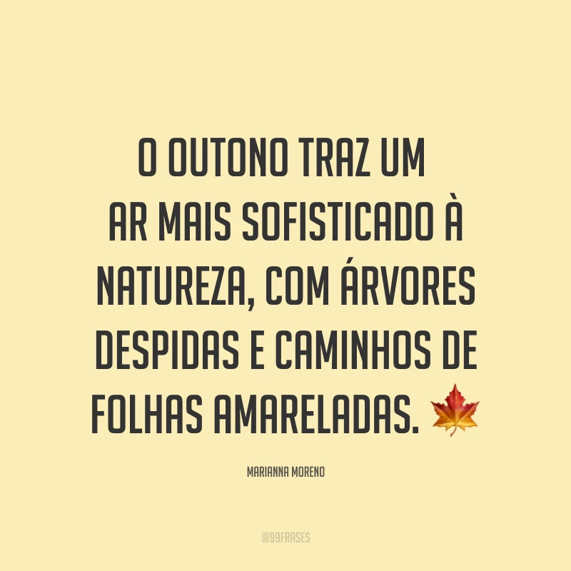 O outono traz um ar mais sofisticado à natureza, com árvores despidas e caminhos de folhas amareladas. ?