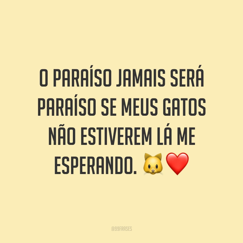 O paraíso jamais será paraíso se meus gatos não estiverem lá me esperando. 🐱❤️