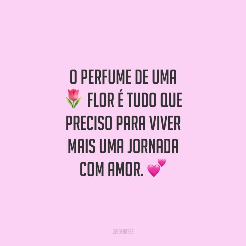 O perfume de uma flor é tudo que preciso para viver mais uma jornada com amor. 