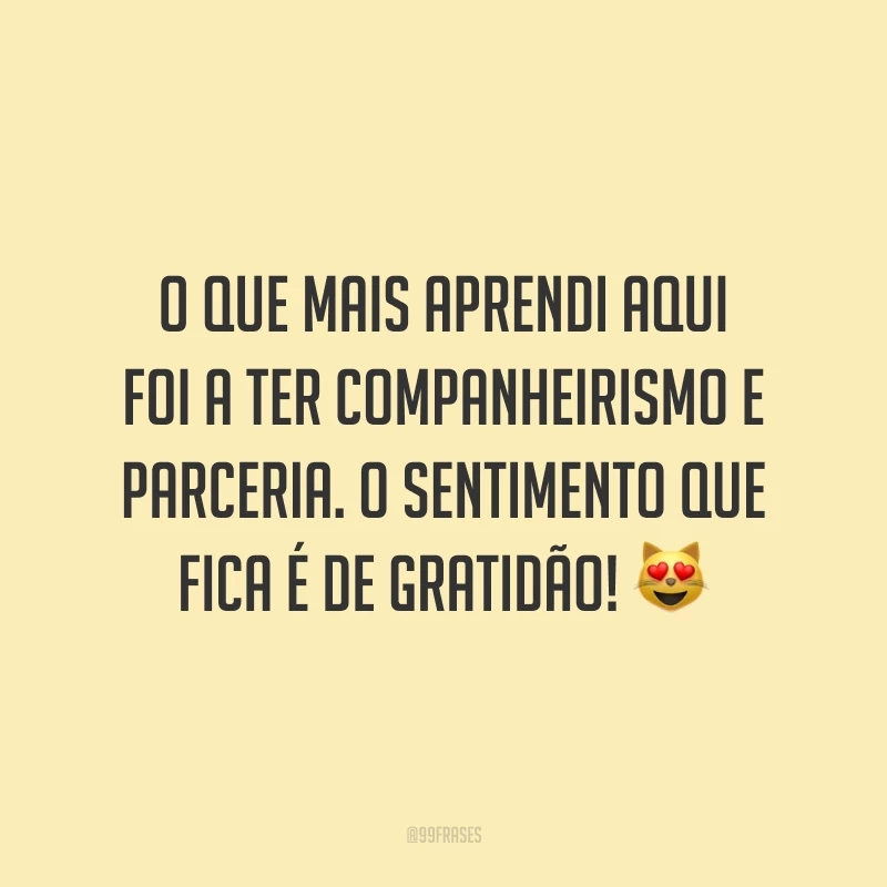 O que mais aprendi aqui foi a ter companheirismo e parceria. O sentimento que fica é de gratidão! 😻