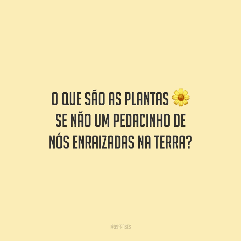 O que são as plantas se não um pedacinho de nós enraizadas na terra?