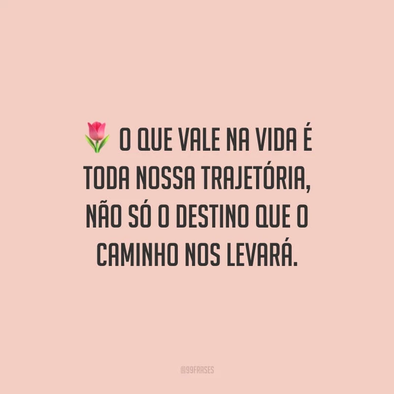O que vale na vida é toda nossa trajetória, não só o destino que o caminho nos levará.