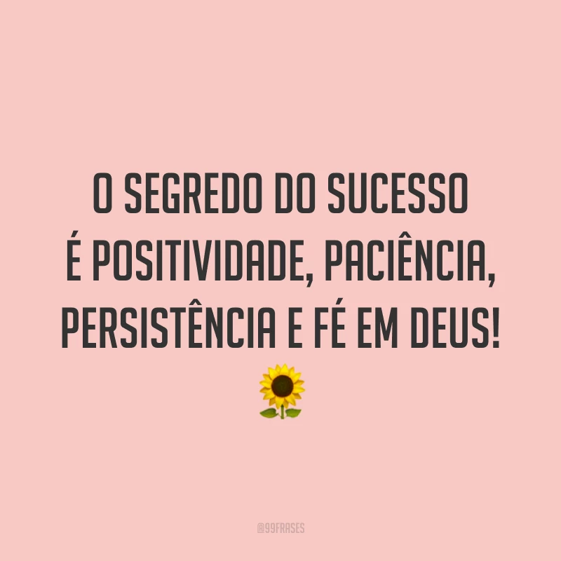 O segredo do sucesso é positividade, paciência, persistência e fé em Deus! 🌻