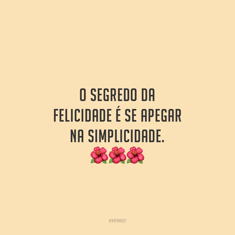 O segredo da felicidade é se apegar na simplicidade.