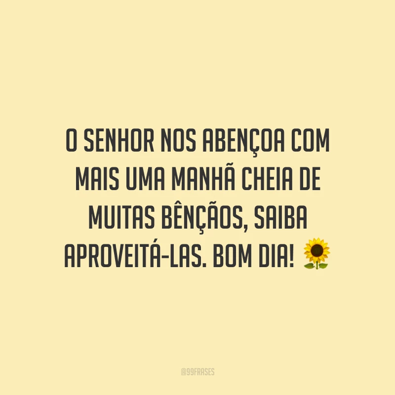 O Senhor nos abençoa com mais uma manhã cheia de muitas bênçãos, saiba aproveitá-las. Bom dia! ?