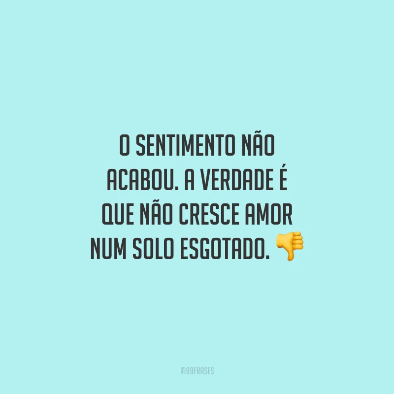O sentimento não acabou. A verdade é que não cresce amor num solo esgotado.