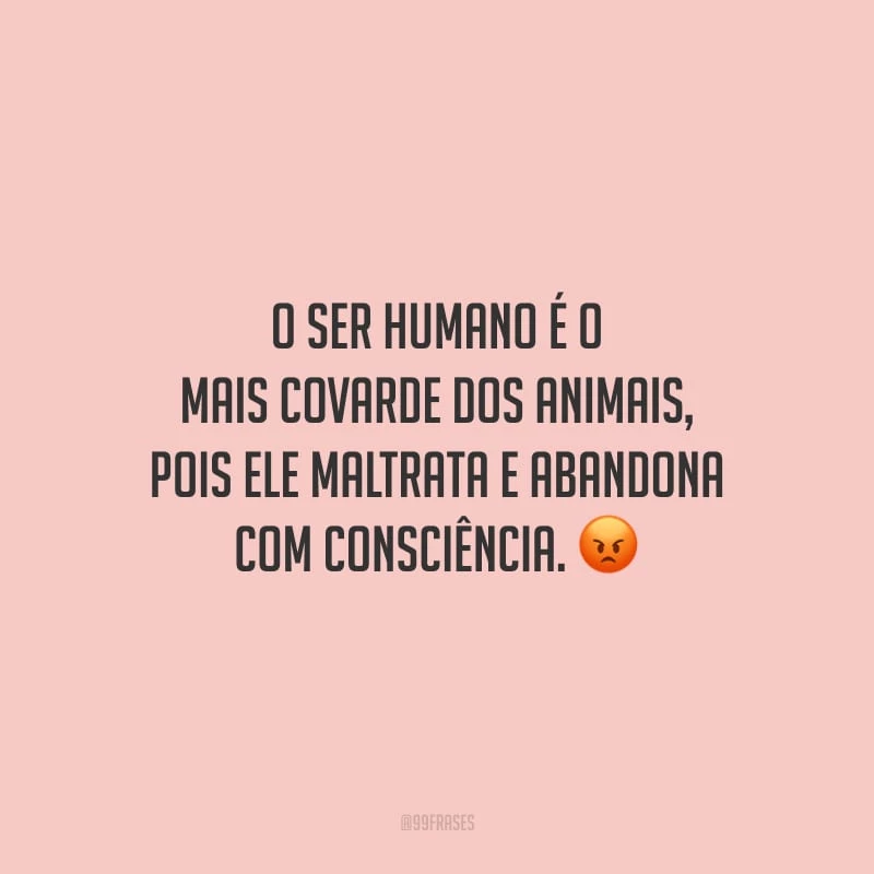O ser humano é o mais covarde dos animais, pois ele maltrata e abandona com consciência.