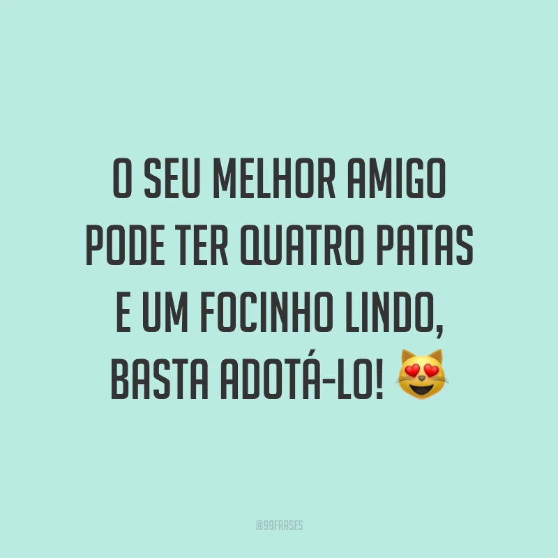 O seu melhor amigo pode ter quatro patas e um focinho lindo, basta adotá-lo! 😻