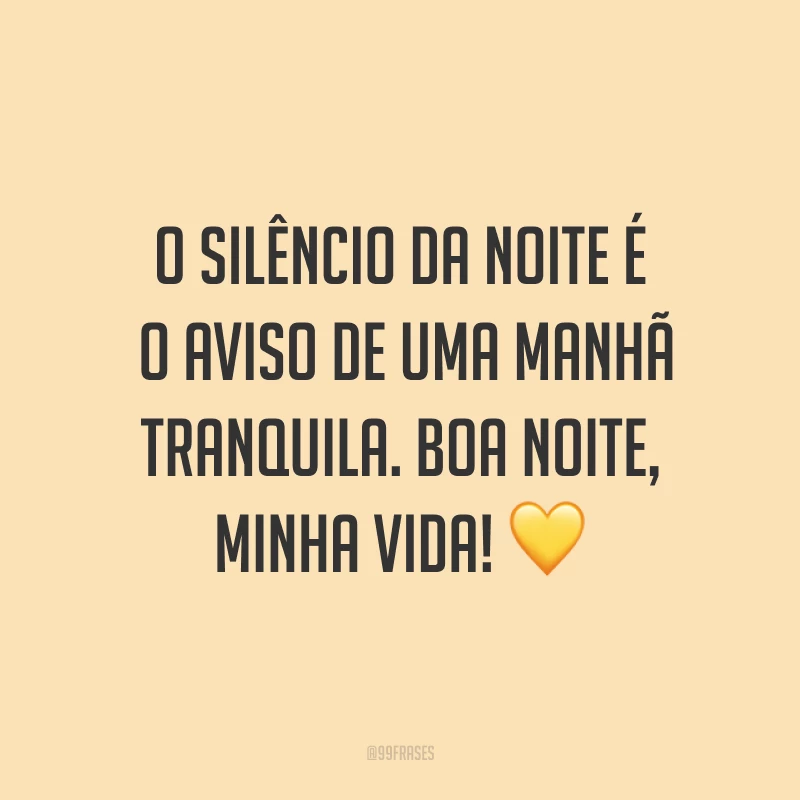 O silêncio da noite é o aviso de uma manhã tranquila. Boa noite, minha vida! ?