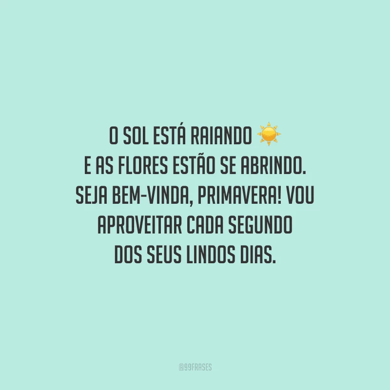 O sol está raiando e as flores estão se abrindo. Seja bem-vinda, primavera! Vou aproveitar cada segundo dos seus lindos dias.