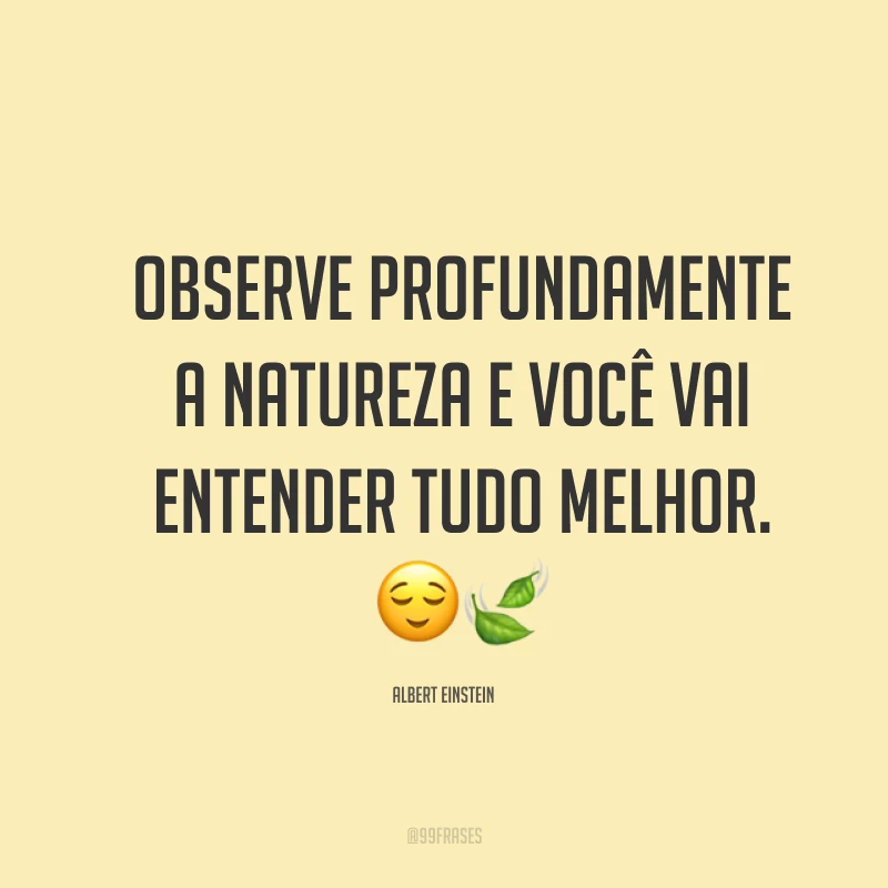 Observe profundamente a natureza e você vai entender tudo melhor. ??