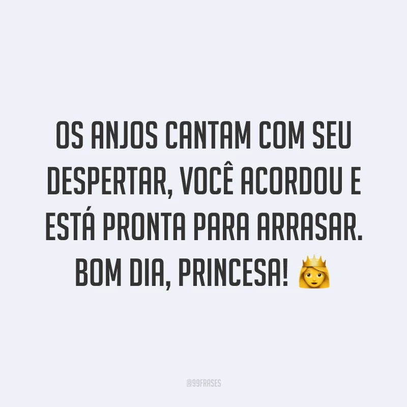 Os anjos cantam com seu despertar, você acordou e está pronta para arrasar. Bom dia, princesa! ?