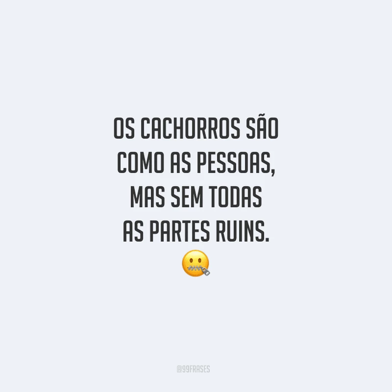 Os cachorros são como as pessoas, mas sem todas as partes ruins.