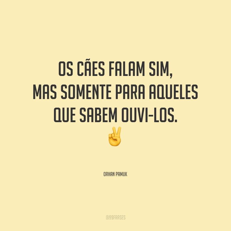 Os cães falam sim, mas somente para aqueles que sabem ouvi-los.